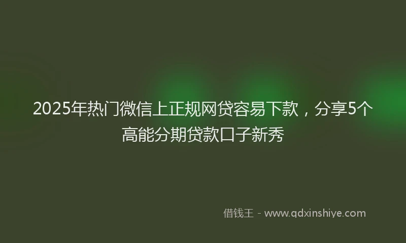 2025年热门微信上正规网贷容易下款，分享5个高能分期贷款口子新秀