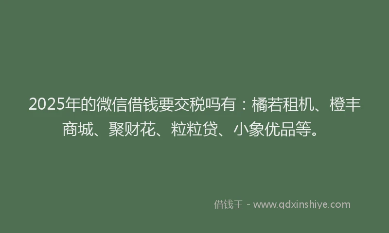 2025年的微信借钱要交税吗有：橘若租机、橙丰商城、聚财花、粒粒贷、小象优品等。