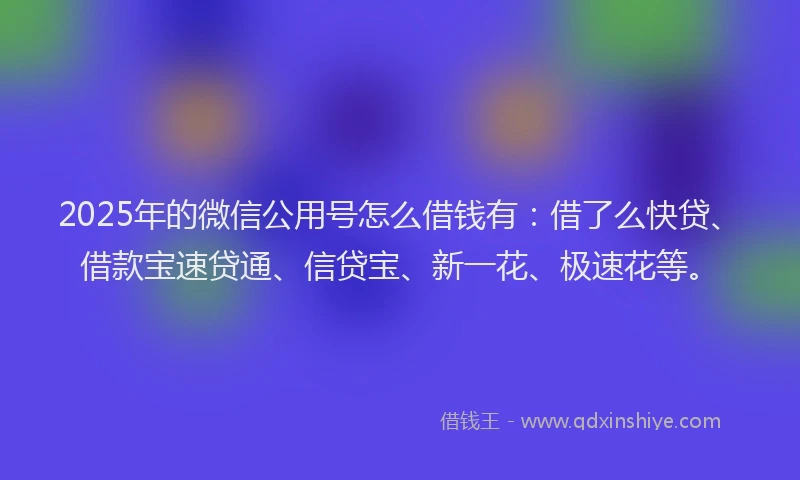 2025年的微信公用号怎么借钱有：借了么快贷、借款宝速贷通、信贷宝、新一花、极速花等。