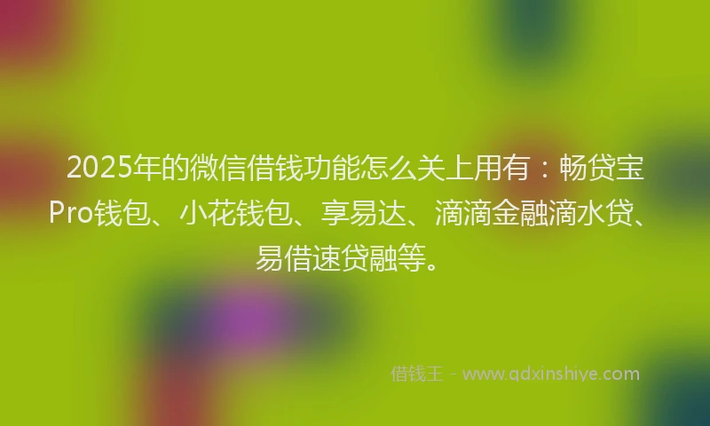 2025年的微信借钱功能怎么关上用有：畅贷宝Pro钱包、小花钱包、享易达、滴滴金融滴水贷、易借速贷融等。