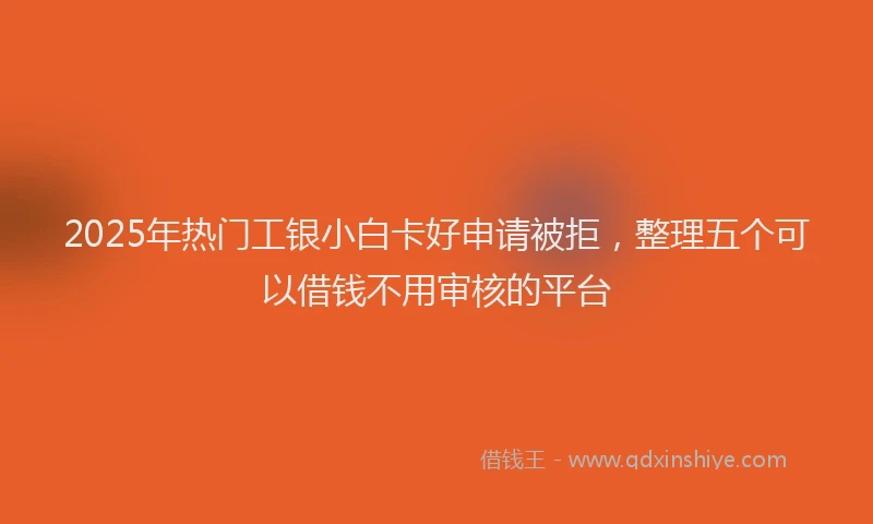 2025年热门工银小白卡好申请被拒，整理五个可以借钱不用审核的平台