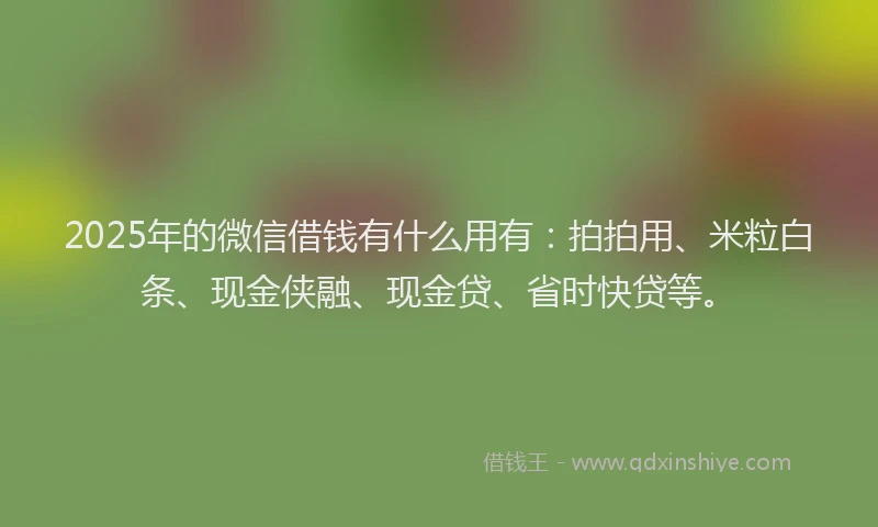 2025年的微信借钱有什么用有：拍拍用、米粒白条、现金侠融、现金贷、省时快贷等。