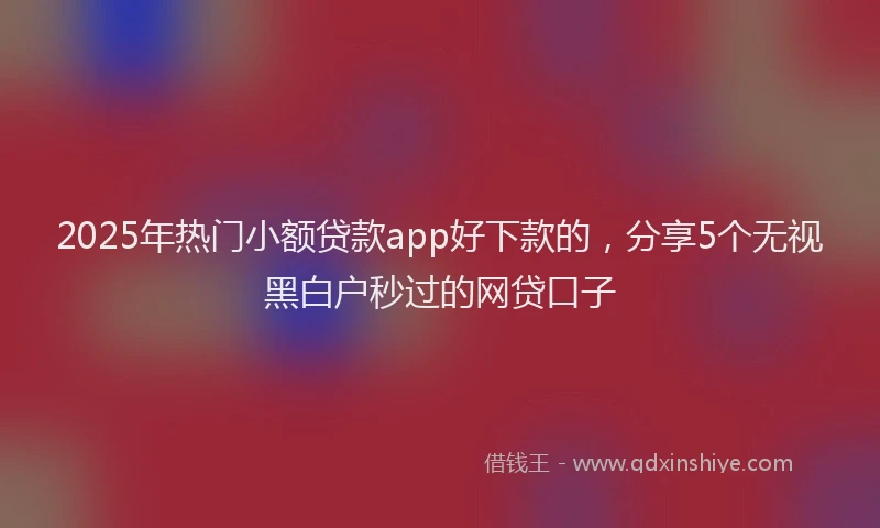 2025年热门小额贷款app好下款的，分享5个无视黑白户秒过的网贷口子