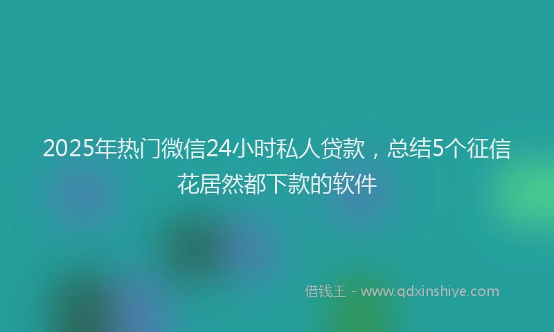 2025年热门微信24小时私人贷款，总结5个征信花居然都下款的软件