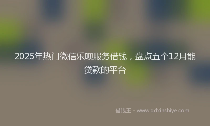 2025年热门微信乐呗服务借钱，盘点五个12月能贷款的平台