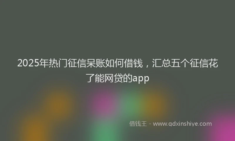 2025年热门征信呆账如何借钱，汇总五个征信花了能网贷的app