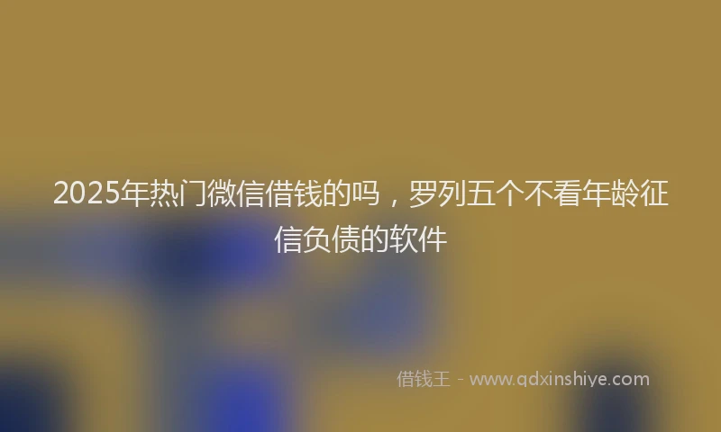 2025年热门微信借钱的吗，罗列五个不看年龄征信负债的软件
