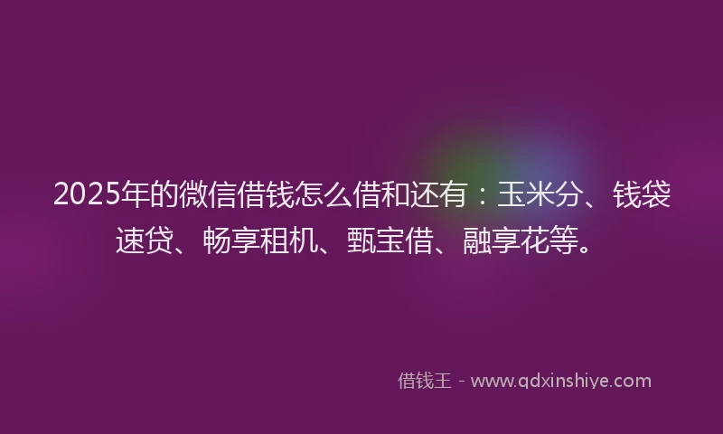 2025年的微信借钱怎么借和还有：玉米分、钱袋速贷、畅享租机、甄宝借、融享花等。