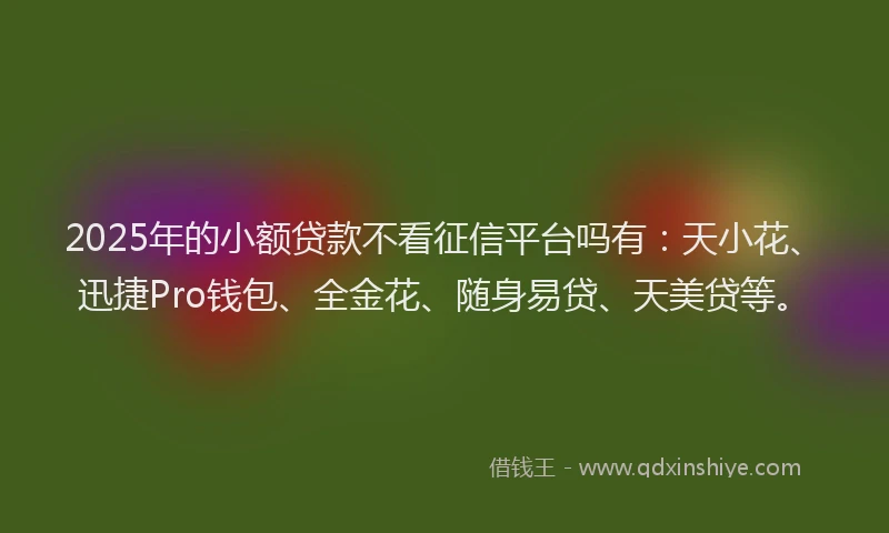 2025年的小额贷款不看征信平台吗有：天小花、迅捷Pro钱包、全金花、随身易贷、天美贷等。