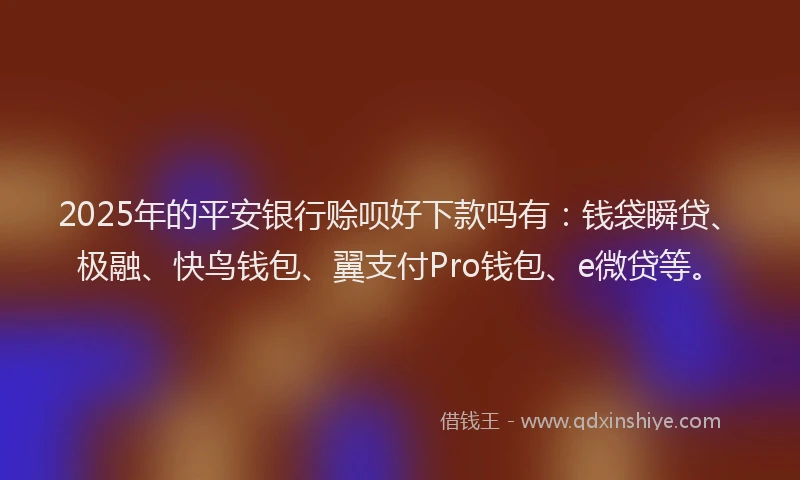 2025年的平安银行赊呗好下款吗有：钱袋瞬贷、极融、快鸟钱包、翼支付Pro钱包、e微贷等。