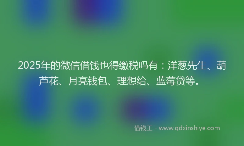 2025年的微信借钱也得缴税吗有：洋葱先生、葫芦花、月亮钱包、理想给、蓝莓贷等。