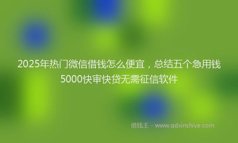 2025年热门微信借钱怎么便宜,总结五个急用钱5000快审快贷无需征信软件