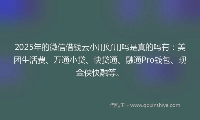 2025年的微信借钱云小用好用吗是真的吗有：美团生活费、万通小贷、快贷通、融通Pro钱包、现金侠快融等。