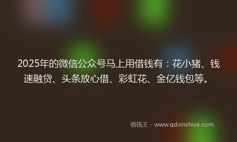 2025年的微信公众号马上用借钱有：花小猪、钱速融贷、头条放心借、彩虹花、金亿钱包等。