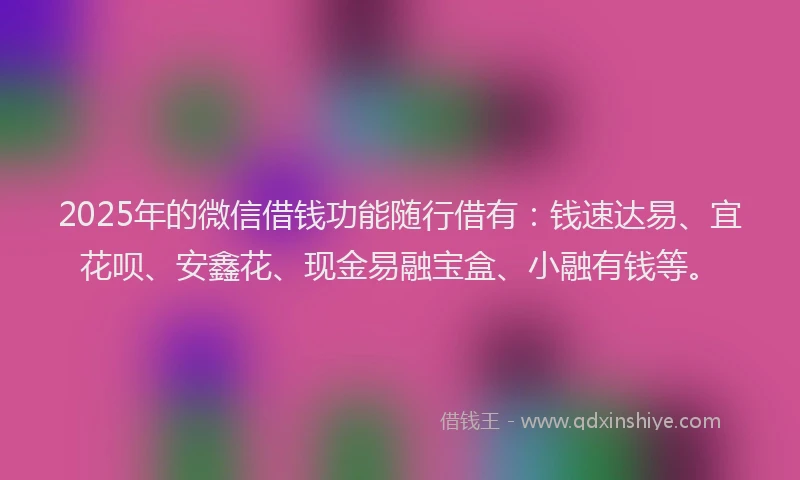 2025年的微信借钱功能随行借有：钱速达易、宜花呗、安鑫花、现金易融宝盒、小融有钱等。