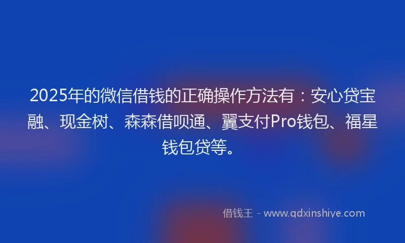 2025年的微信借钱的正确操作方法有：安心贷宝融、现金树、森森借呗通、翼支付Pro钱包、福星钱包贷等。