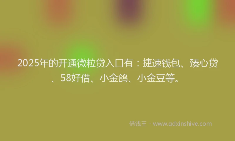 2025年的开通微粒贷入口有：捷速钱包、臻心贷、58好借、小金鸽、小金豆等。
