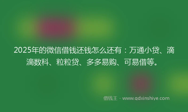 2025年的微信借钱还钱怎么还有：万通小贷、滴滴数科、粒粒贷、多多易购、可易借等。