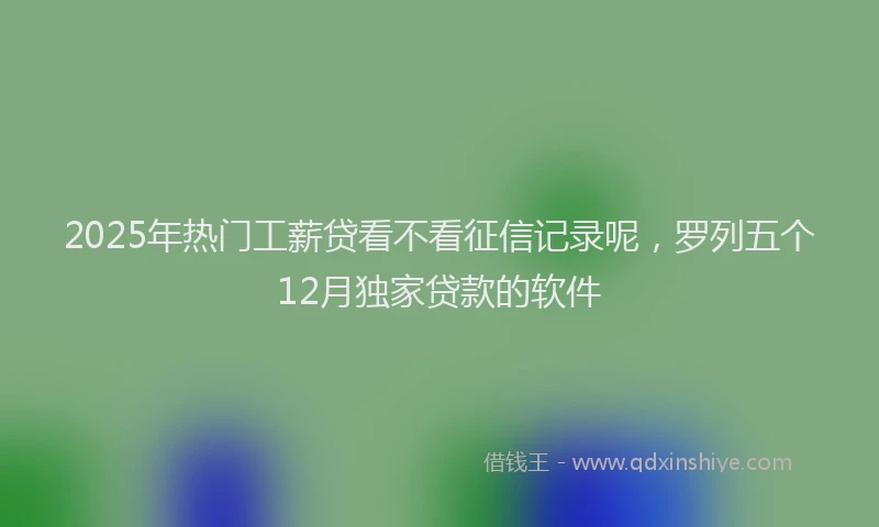 2025年热门工薪贷看不看征信记录呢，罗列五个12月独家贷款的软件