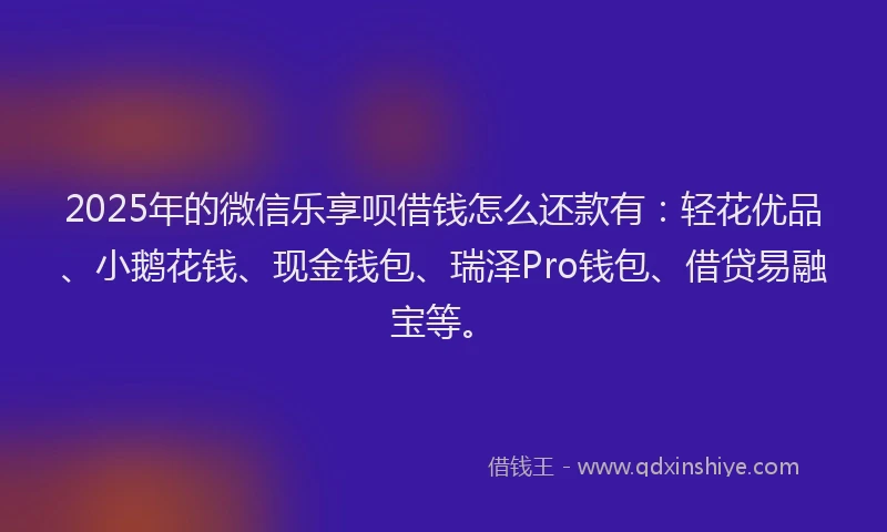 2025年的微信乐享呗借钱怎么还款有：轻花优品、小鹅花钱、现金钱包、瑞泽Pro钱包、借贷易融宝等。
