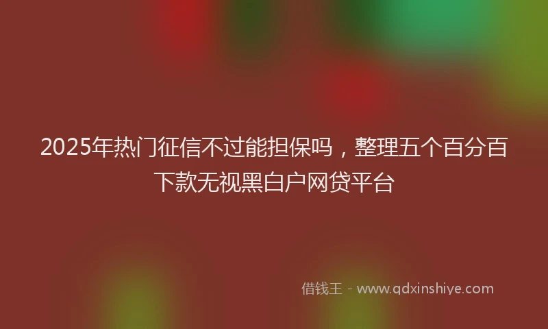 2025年热门征信不过能担保吗，整理五个百分百下款无视黑白户网贷平台