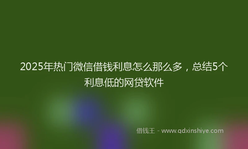 2025年热门微信借钱利息怎么那么多，总结5个利息低的网贷软件