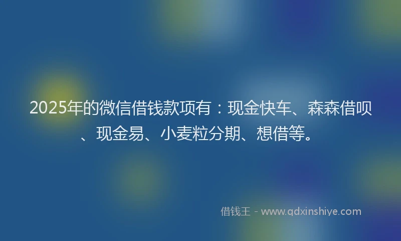 2025年的微信借钱款项有：现金快车、森森借呗、现金易、小麦粒分期、想借等。