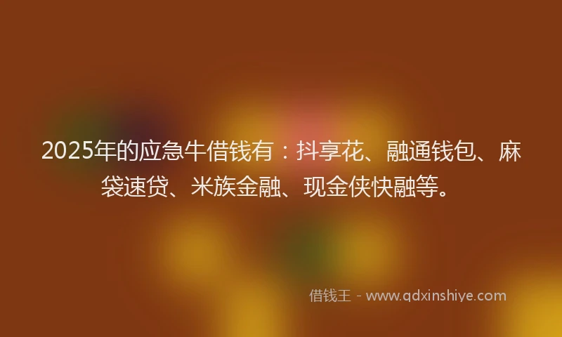 2025年的应急牛借钱有：抖享花、融通钱包、麻袋速贷、米族金融、现金侠快融等。
