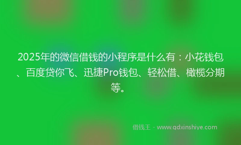 2025年的微信借钱的小程序是什么有：小花钱包、百度贷你飞、迅捷Pro钱包、轻松借、橄榄分期等。