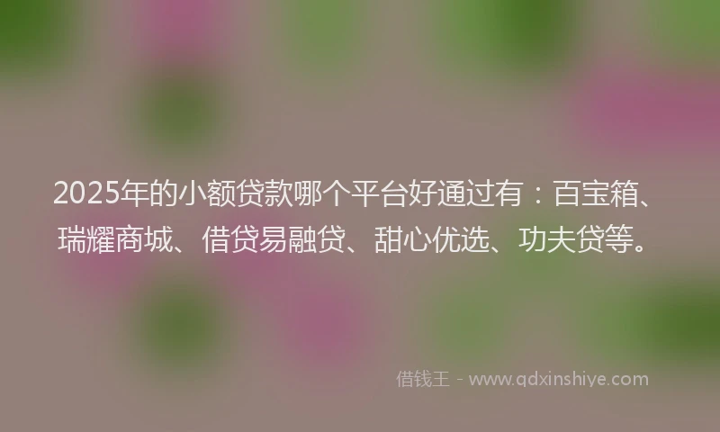 2025年的小额贷款哪个平台好通过有：百宝箱、瑞耀商城、借贷易融贷、甜心优选、功夫贷等。