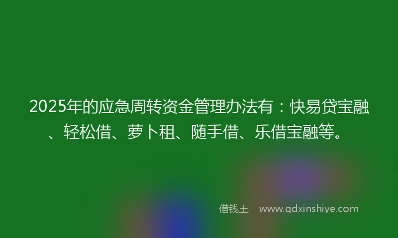 2025年的应急周转资金管理办法有：快易贷宝融、轻松借、萝卜租、随手借、乐借宝融等。