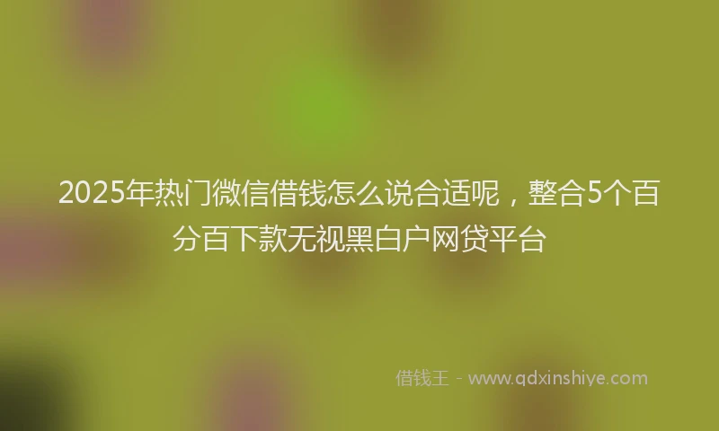 2025年热门微信借钱怎么说合适呢，整合5个百分百下款无视黑白户网贷平台