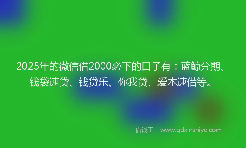 2025年的微信借2000必下的口子有：蓝鲸分期、钱袋速贷、钱贷乐、你我贷、爱木速借等。