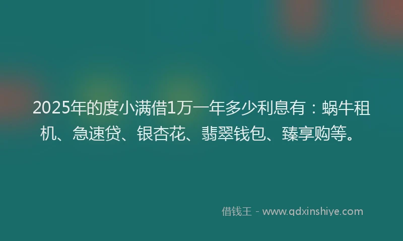 2025年的度小满借1万一年多少利息有：蜗牛租机、急速贷、银杏花、翡翠钱包、臻享购等。