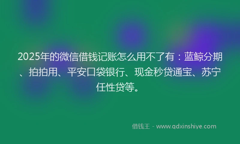 2025年的微信借钱记账怎么用不了有：蓝鲸分期、拍拍用、平安口袋银行、现金秒贷通宝、苏宁任性贷等。