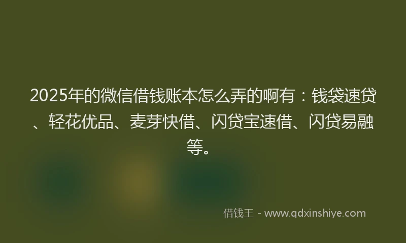2025年的微信借钱账本怎么弄的啊有：钱袋速贷、轻花优品、麦芽快借、闪贷宝速借、闪贷易融等。