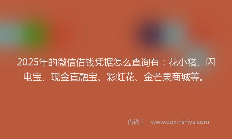 2025年的微信借钱凭据怎么查询有：花小猪、闪电宝、现金直融宝、彩虹花、金芒果商城等。