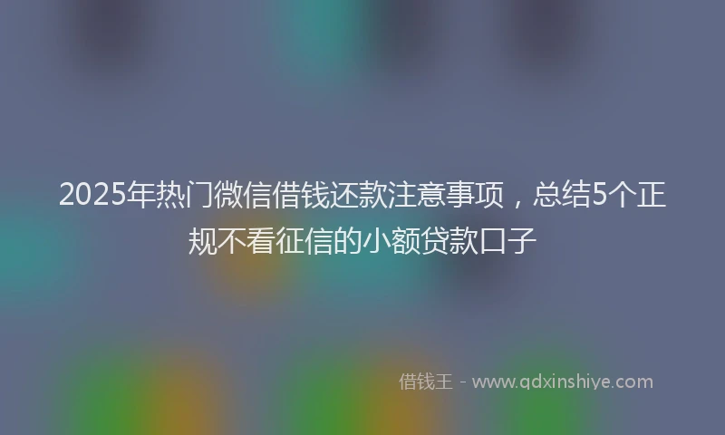 2025年热门微信借钱还款注意事项，总结5个正规不看征信的小额贷款口子