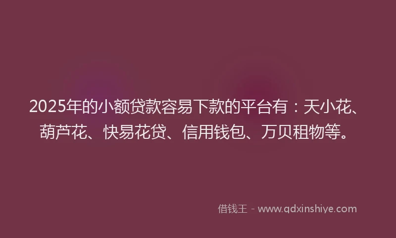 2025年的小额贷款容易下款的平台有：天小花、葫芦花、快易花贷、信用钱包、万贝租物等。