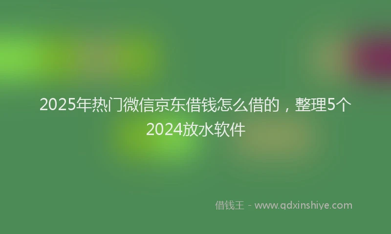 2025年热门微信京东借钱怎么借的，整理5个2024放水软件