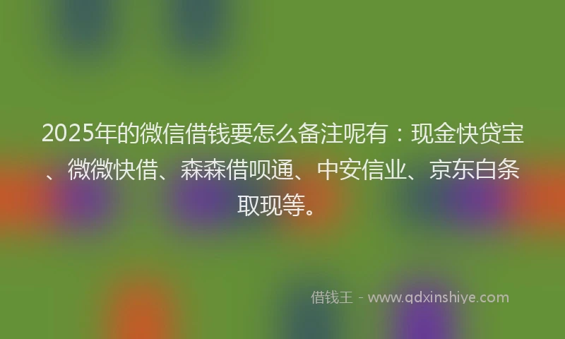 2025年的微信借钱要怎么备注呢有：现金快贷宝、微微快借、森森借呗通、中安信业、京东白条取现等。