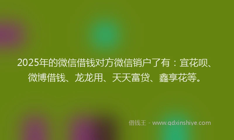 2025年的微信借钱对方微信销户了有：宜花呗、微博借钱、龙龙用、天天富贷、鑫享花等。