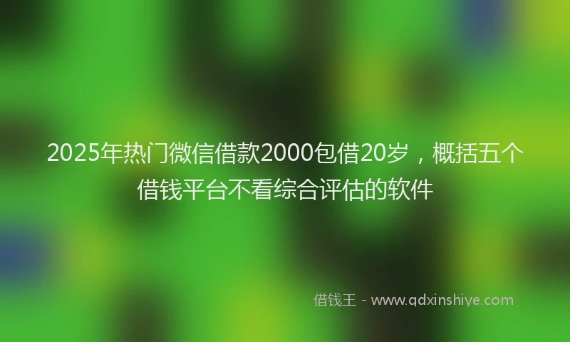 2025年热门微信借款2000包借20岁，概括五个借钱平台不看综合评估的软件