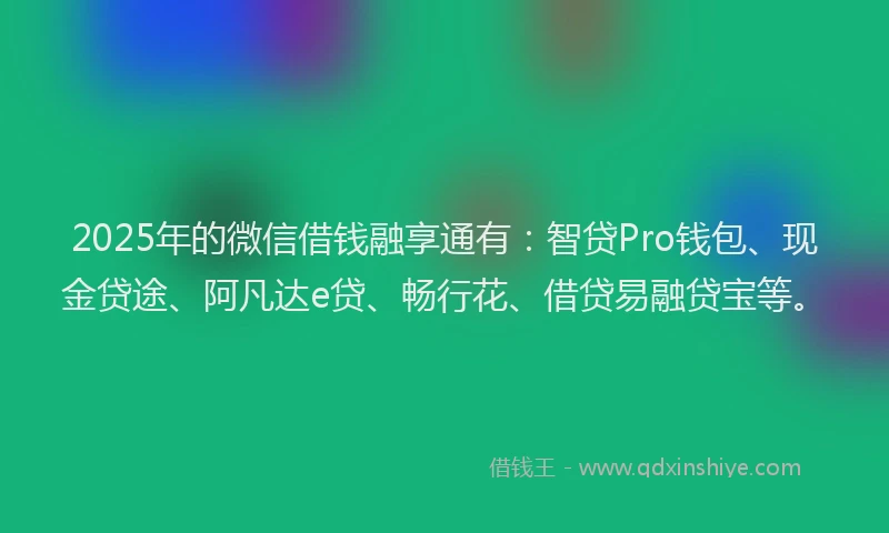 2025年的微信借钱融享通有：智贷Pro钱包、现金贷途、阿凡达e贷、畅行花、借贷易融贷宝等。