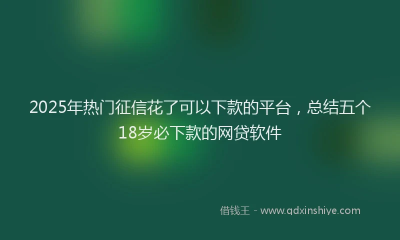 2025年热门征信花了可以下款的平台，总结五个18岁必下款的网贷软件