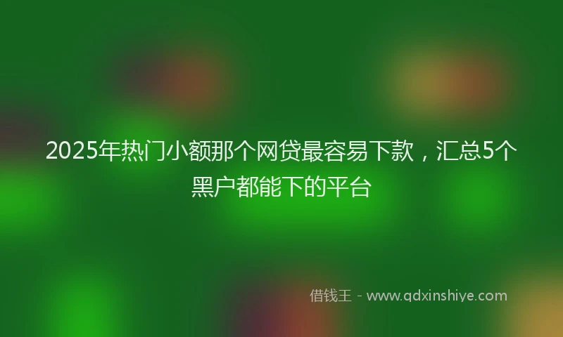 2025年热门小额那个网贷最容易下款，汇总5个黑户都能下的平台
