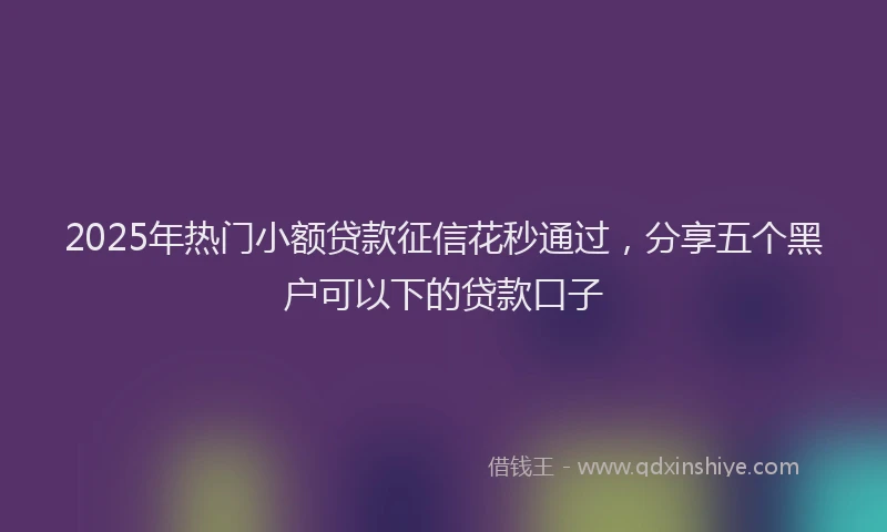2025年热门小额贷款征信花秒通过，分享五个黑户可以下的贷款口子