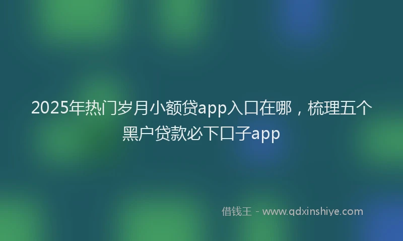 2025年热门岁月小额贷app入口在哪，梳理五个黑户贷款必下口子app