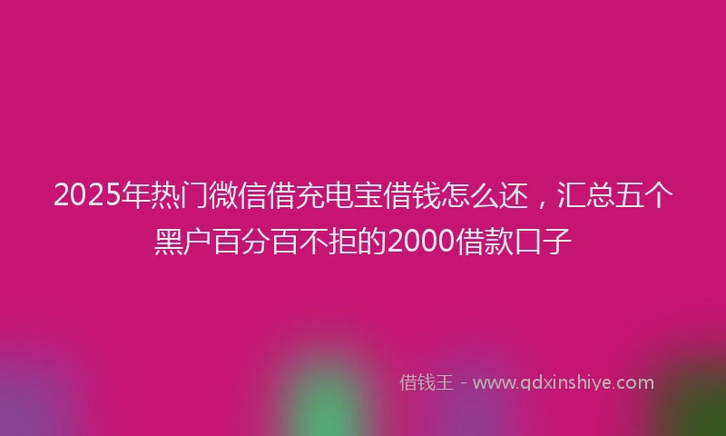 2025年热门微信借充电宝借钱怎么还，汇总五个黑户百分百不拒的2000借款口子