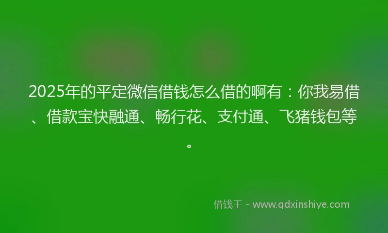 2025年的平定微信借钱怎么借的啊有：你我易借、借款宝快融通、畅行花、支付通、飞猪钱包等。